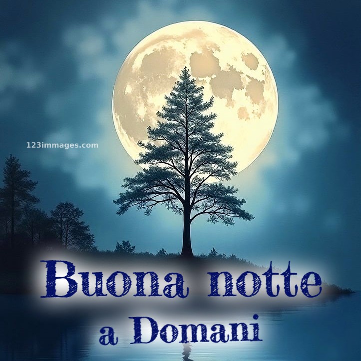 Buona Notte A Domani Foto Bellissime 8 tree 9301151 1280 1 Buona Notte A Domani Foto Bellissime