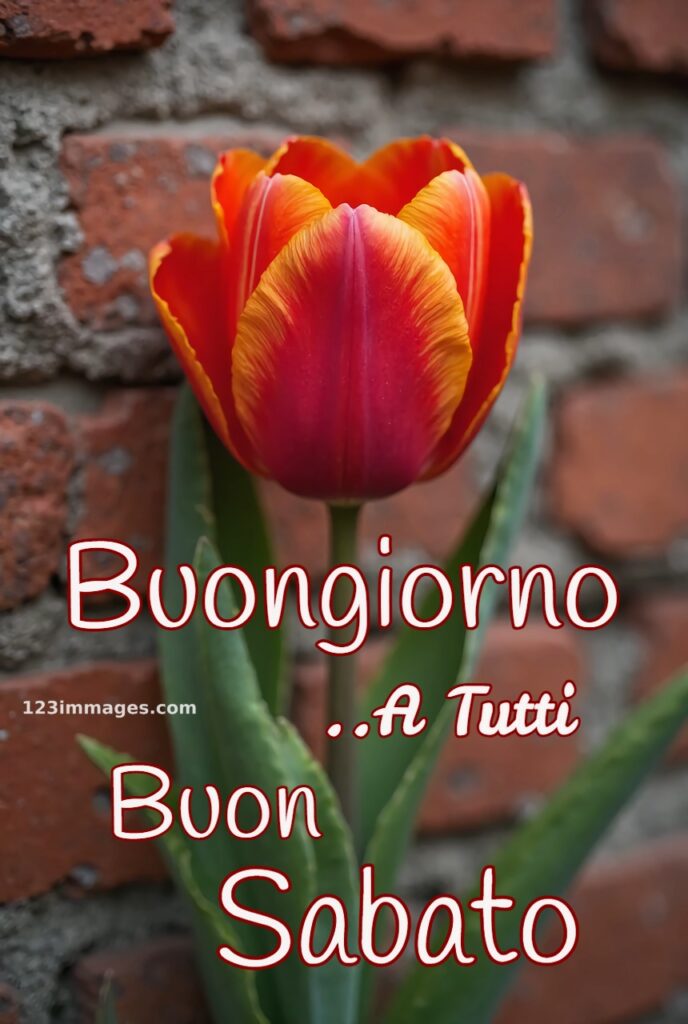 Immagini Buon Sabato 2 Immagini Buon Sabato