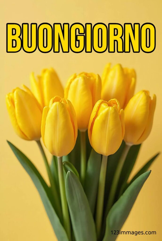 Particolare Nuovissime Whatsapp Buongiorno Immagini Recenti 6 Particolare Nuovissime Whatsapp Buongiorno Immagini Recenti 10 Particolare Nuovissime Whatsapp Buongiorno Immagini Recenti