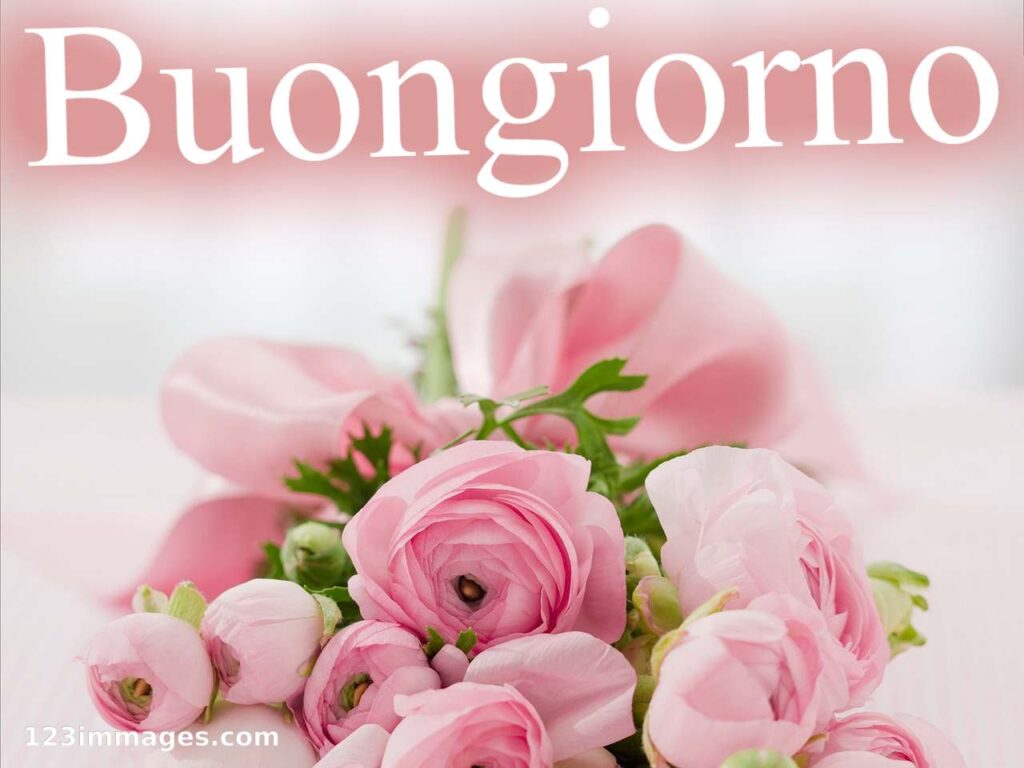 Particolare Nuovissime Whatsapp Buongiorno Immagini Recenti 19 Particolare Nuovissime Whatsapp Buongiorno Immagini Recenti 4 Particolare Nuovissime Whatsapp Buongiorno Immagini Recenti