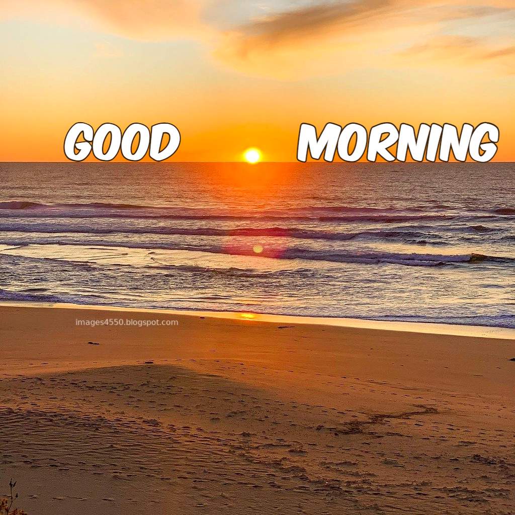 Good Morning Images 4 beautiful good morning images 2025 77