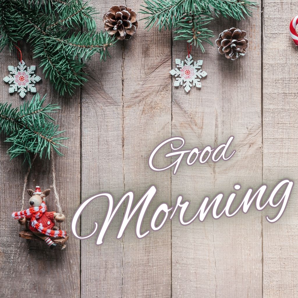 Good Morning Winter Images 13 Good Morning Images New 2025 12 Good Morning Winter Images