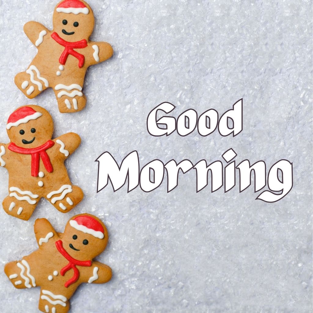 Good Morning Winter Images 17 Good Morning Images New 2025 16 Good Morning Winter Images
