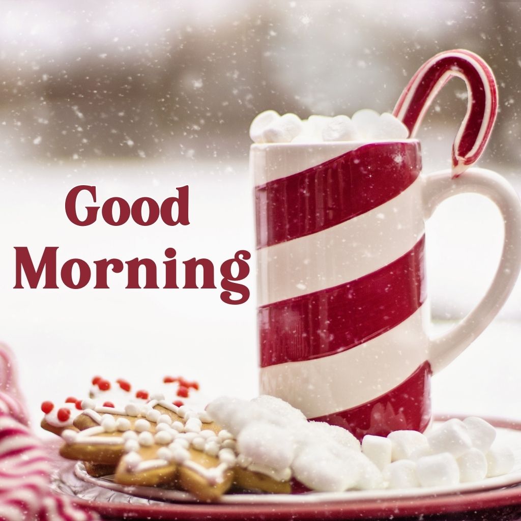 Good Morning Winter Images 18 Good Morning Images New 2025 17 Good Morning Winter Images