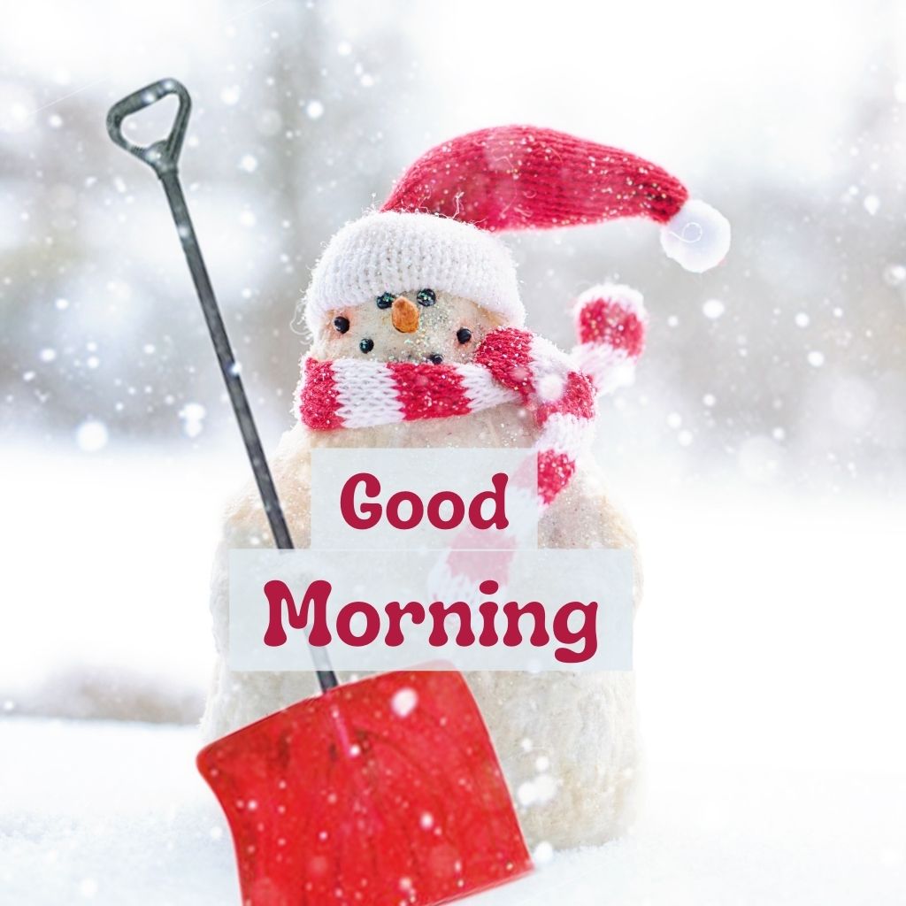 Good Morning Winter Images 19 Good Morning Images New 2025 18 Good Morning Winter Images
