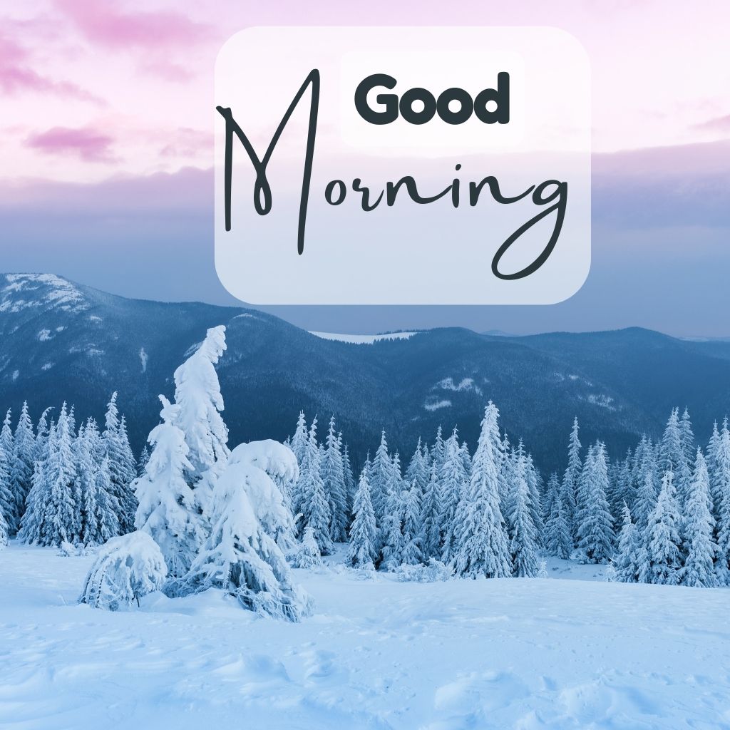 Good Morning Winter Images 21 good morning winter images