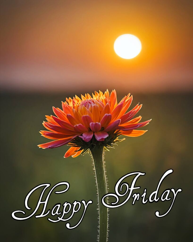 Happy Friday Images 2025 13 Happy Friday Images 2025 12 Happy Friday Images 2025