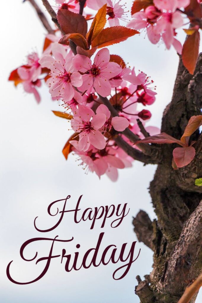 Happy Friday Images 2025 24 Happy Friday Images 2025 23 Happy Friday Images 2025
