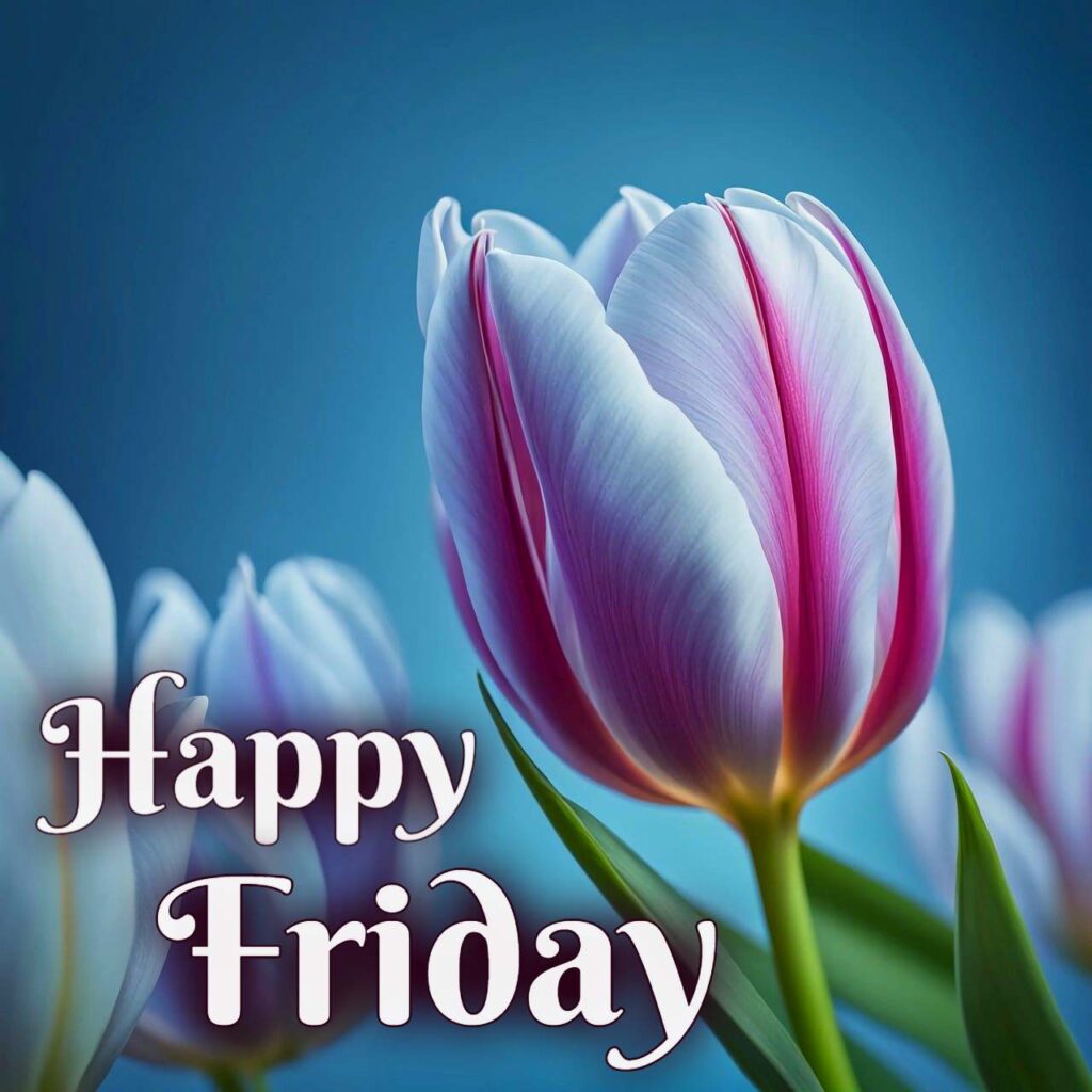 Happy Friday Images 2025 6 Happy Friday Images 2025 5 Happy Friday Images 2025