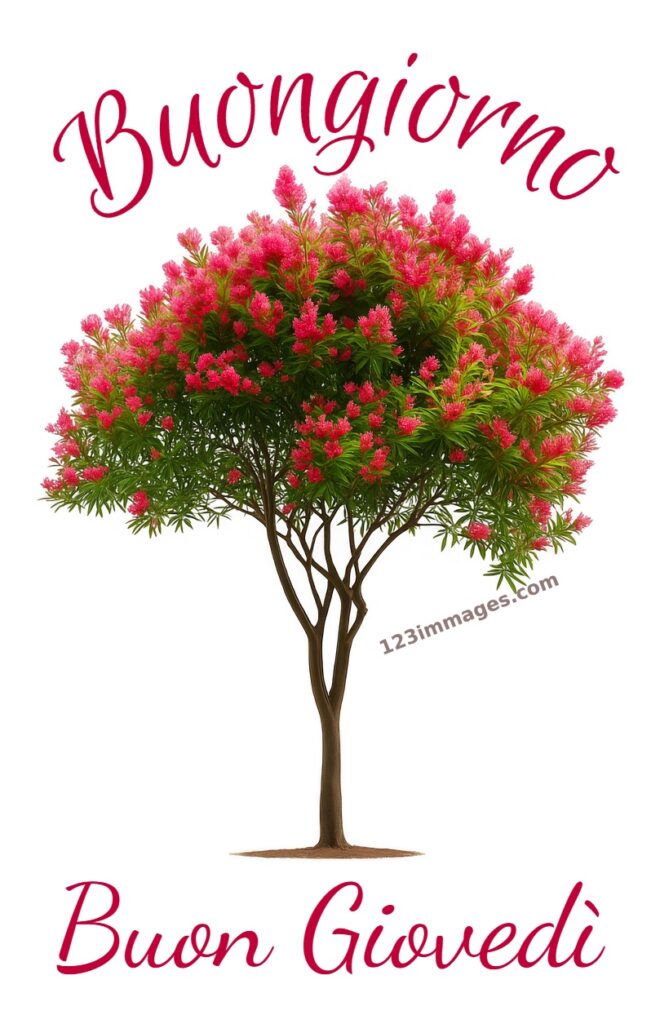 Buon Giovedi Immagini Nuove 18 1 buon giovedì immagini nuove