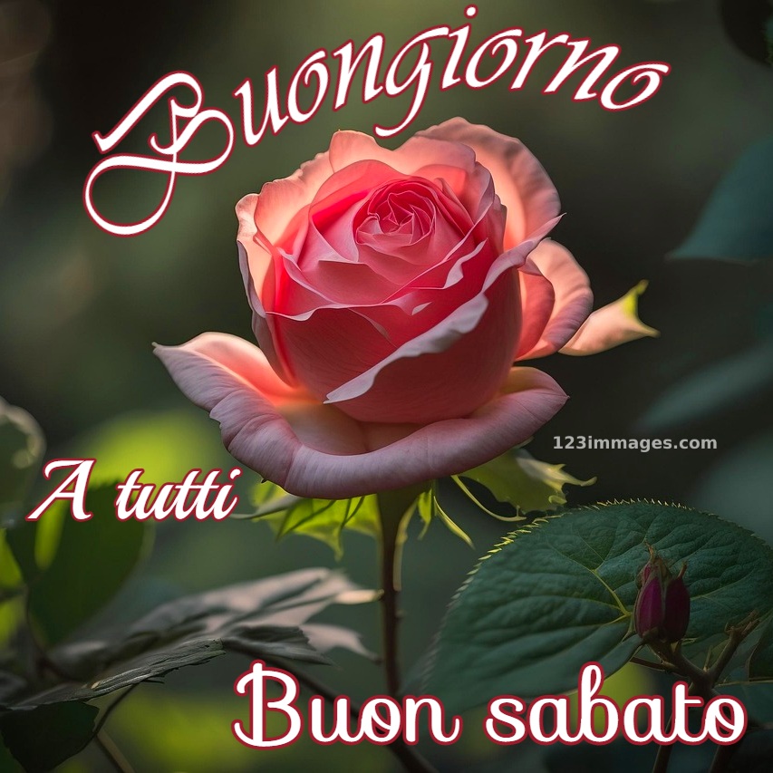 Buongiorno Sabato Immagini Nuove Gratis Per Whatsapp 11 1 Semplicemente Immagini Nuove Buon Sabato