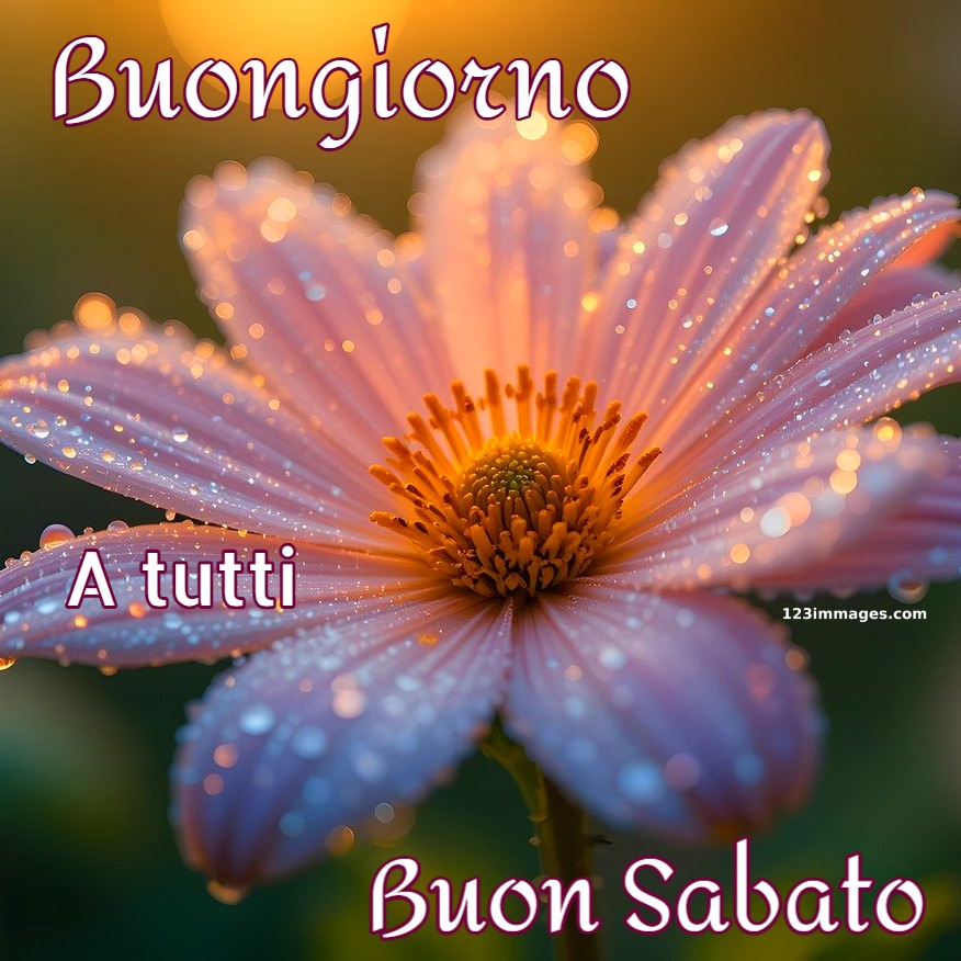 Buongiorno Sabato Immagini Nuove Gratis Per Whatsapp 13 1 Semplicemente Immagini Nuove Buon Sabato