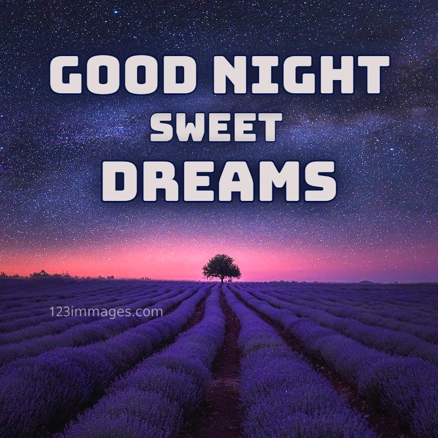 Good Night Images 2025 21 Good night sweet dreams message with beautiful lavender field and starry night sky background