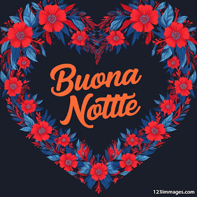 Buonanotte Di Cuore 1 Buonanotte Di Cuore