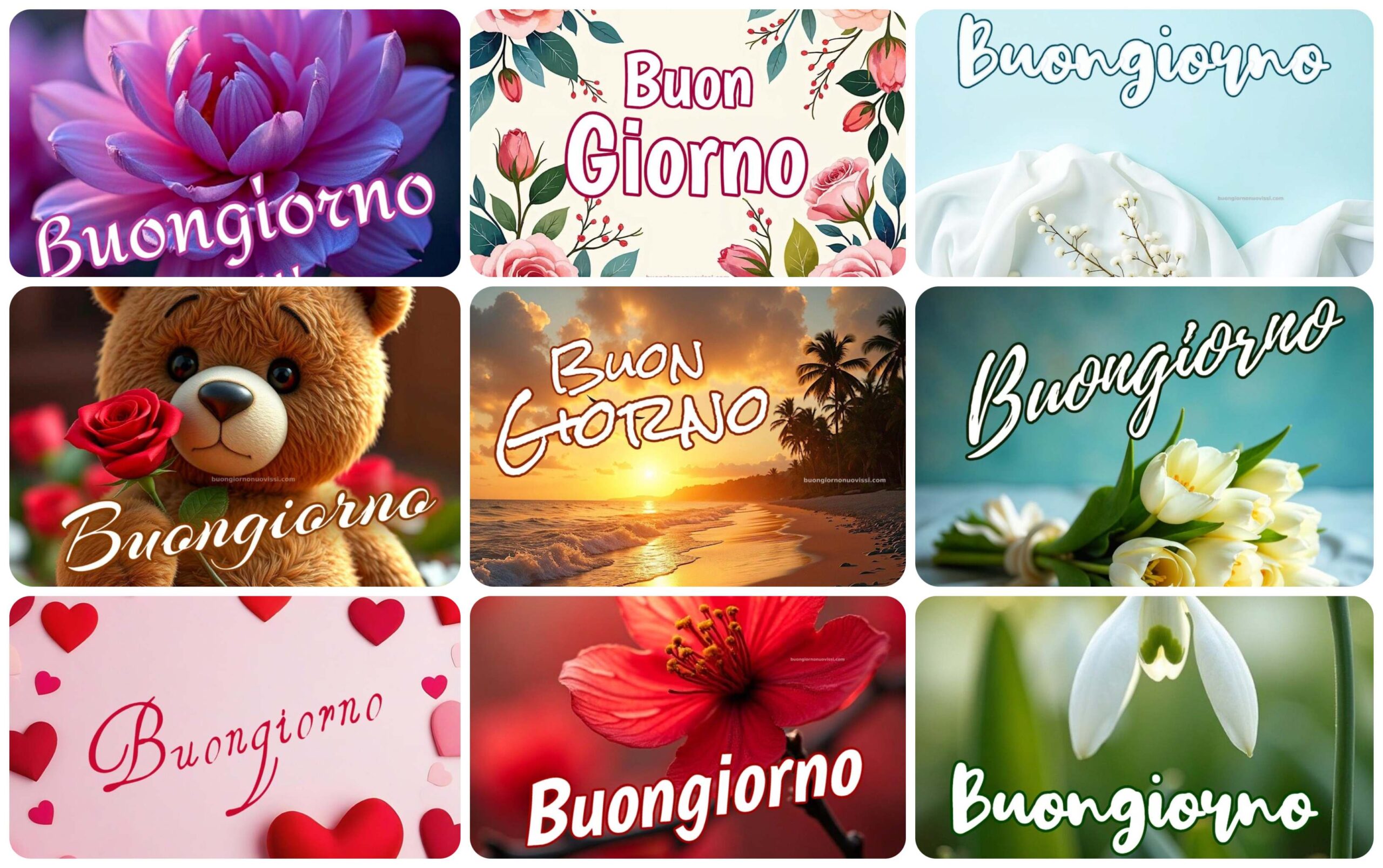 Buongiorno Immagini Nuove Gratis Per Whatsapp