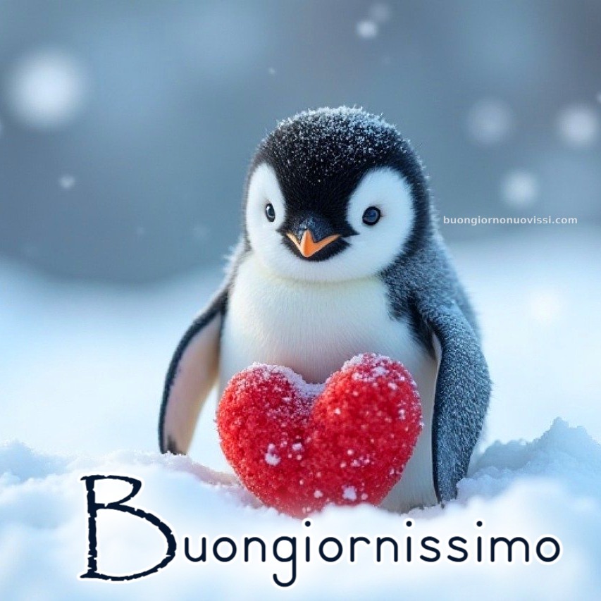 Originali Nuovissimo Buongiorno Immagini Recenti 2 1 Semplicemente Immagini Nuove Buon Sabato