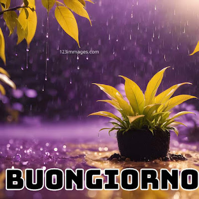 100 immagini buongiorno gratis per whatsapp