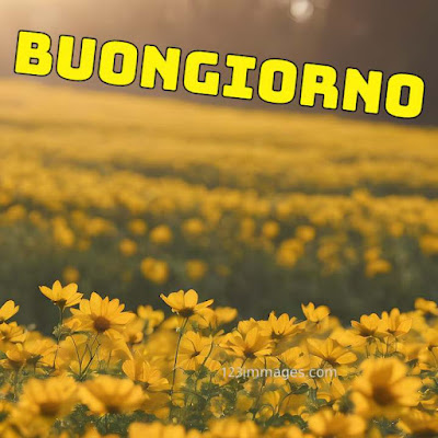 100 immagini buongiorno gratis per whatsapp