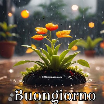 100 immagini buongiorno gratis per whatsapp