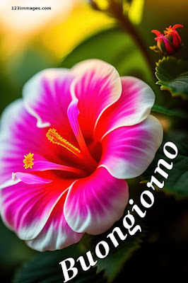 100 immagini buongiorno gratis per whatsapp