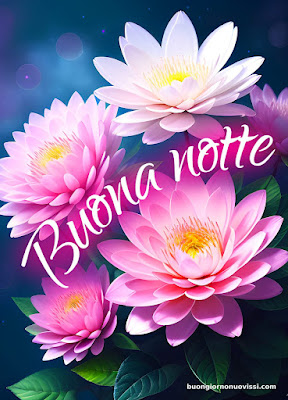 Buonanotte Bellissimi Buonanotte Bellissimi