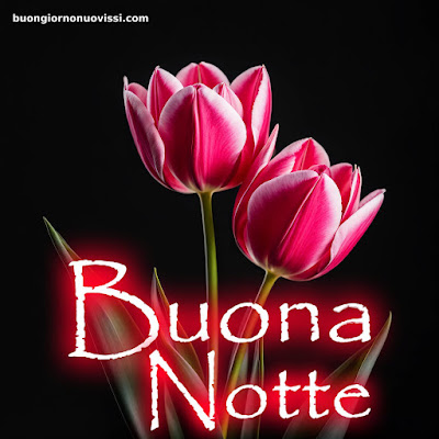 Buonanotte Bellissimi Buonanotte Bellissimi