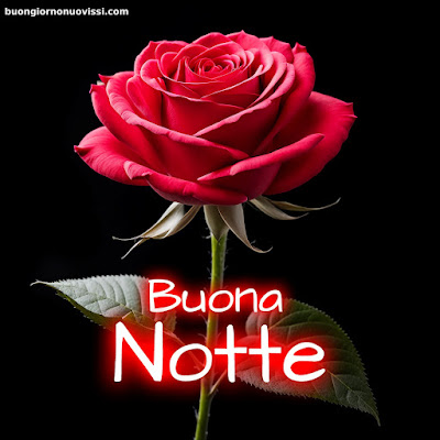 Buona Notte Immagini Nuove