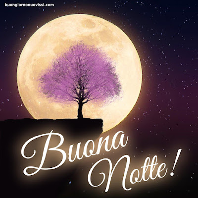 Buona Notte Immagini Nuove