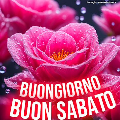 Immagini Buon Sabato