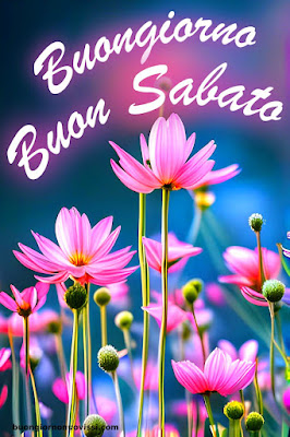Immagini Buon Sabato