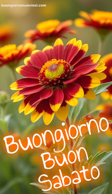 Immagini Buon Sabato