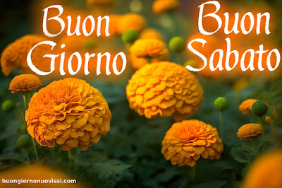 Immagini Buon Sabato