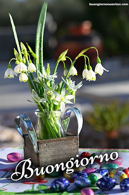 Whatsapp Buongiorno Nuovissimi Whatsapp Buongiorno Nuovissimi