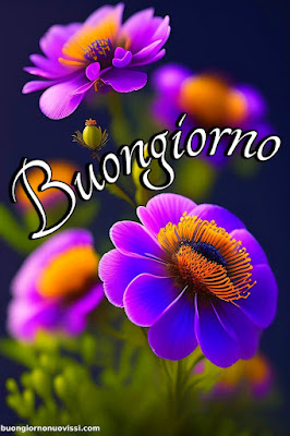 Whatsapp Buongiorno Nuovissimi Whatsapp Buongiorno Nuovissimi