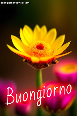 Whatsapp Buongiorno Nuovissimi Whatsapp Buongiorno Nuovissimi