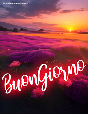 Whatsapp Buongiorno Nuovissimi Whatsapp Buongiorno Nuovissimi