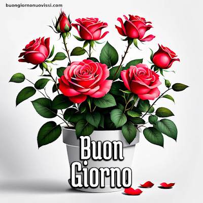 Whatsapp Buongiorno Nuovissimi Whatsapp Buongiorno Nuovissimi