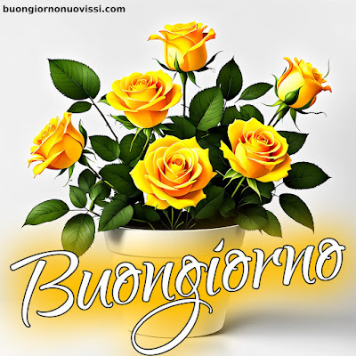 Whatsapp Buongiorno Nuovissimi Whatsapp Buongiorno Nuovissimi