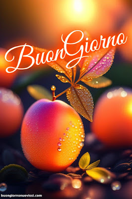 Whatsapp Buongiorno Nuovissimi Whatsapp Buongiorno Nuovissimi