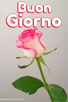 Whatsapp Buongiorno Nuovissimi Whatsapp Buongiorno Nuovissimi