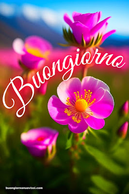 Whatsapp Buongiorno Nuovissimi Whatsapp Buongiorno Nuovissimi