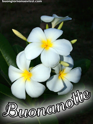 buona serata e buona notte immagini nuove buona serata e buona notte immagini nuove