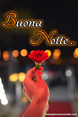 nuovissimo buonanotte immagini recenti gratis per whatsapp nuovissimo buonanotte immagini recenti gratis per whatsapp