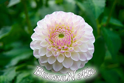 bellissime nuovissimo buonanotte immagini recenti bellissime nuovissimo buonanotte immagini recenti