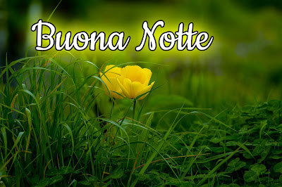 bellissime nuovissimo buonanotte immagini recenti bellissime nuovissimo buonanotte immagini recenti