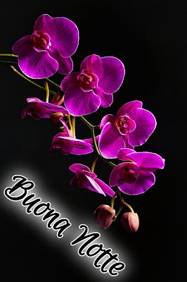 bellissime nuovissimo buonanotte immagini recenti bellissime nuovissimo buonanotte immagini recenti