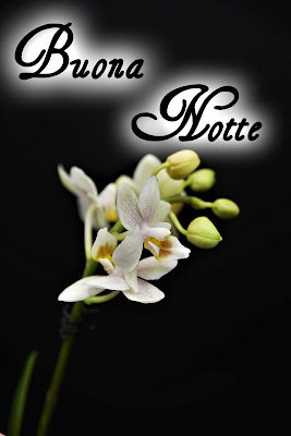 bellissime nuovissimo buonanotte immagini recenti bellissime nuovissimo buonanotte immagini recenti