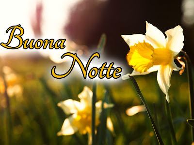 bellissime nuovissimo buonanotte immagini recenti bellissime nuovissimo buonanotte immagini recenti