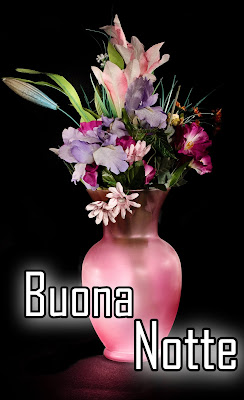 bellissime nuovissimo buonanotte immagini recenti bellissime nuovissimo buonanotte immagini recenti