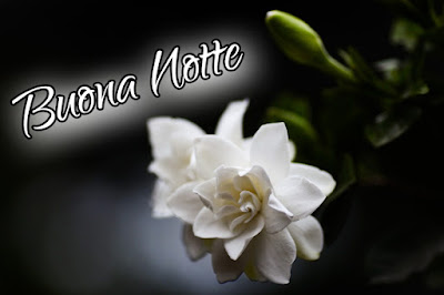 bellissime nuovissimo buonanotte immagini recenti bellissime nuovissimo buonanotte immagini recenti